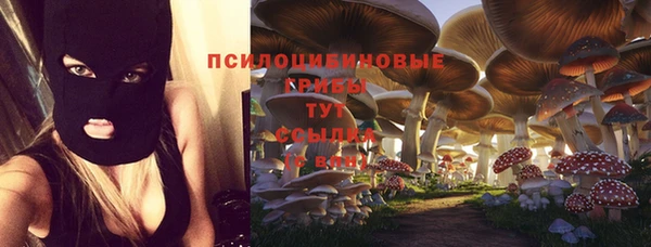 прущий лед Бугульма