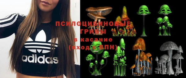 гидра Верхнеуральск