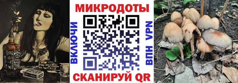 Галлюциногенные грибы мухоморы  наркошоп  Грязи 