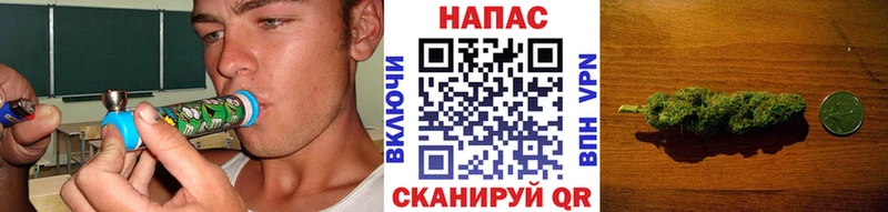 МАРИХУАНА конопля  Грязи 